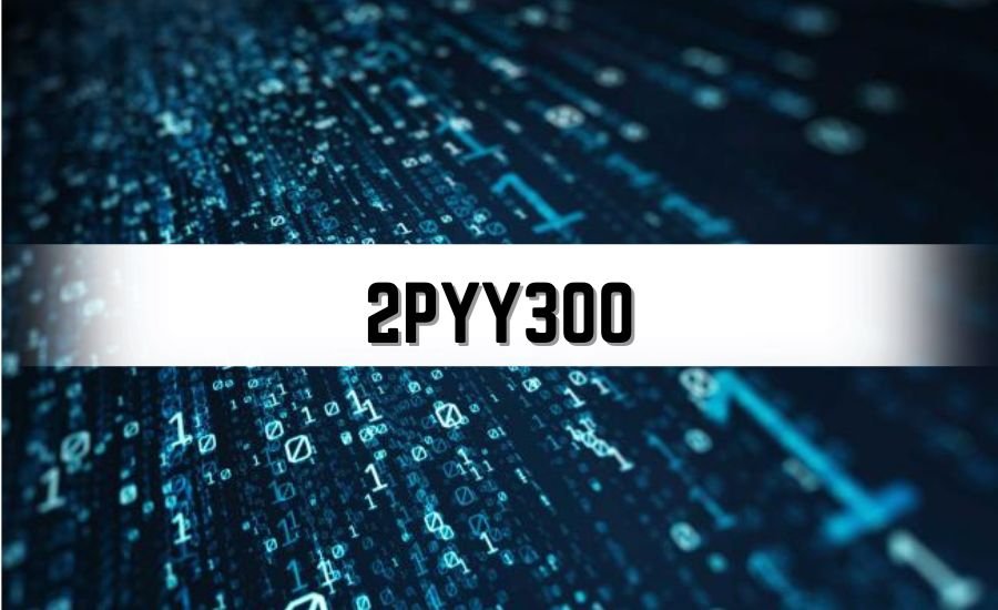 2pyy300