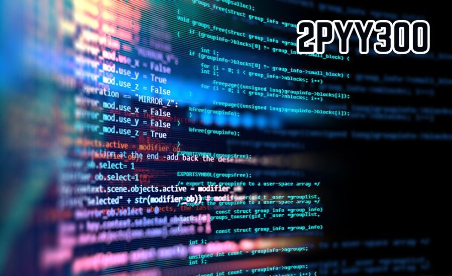 2pyy300