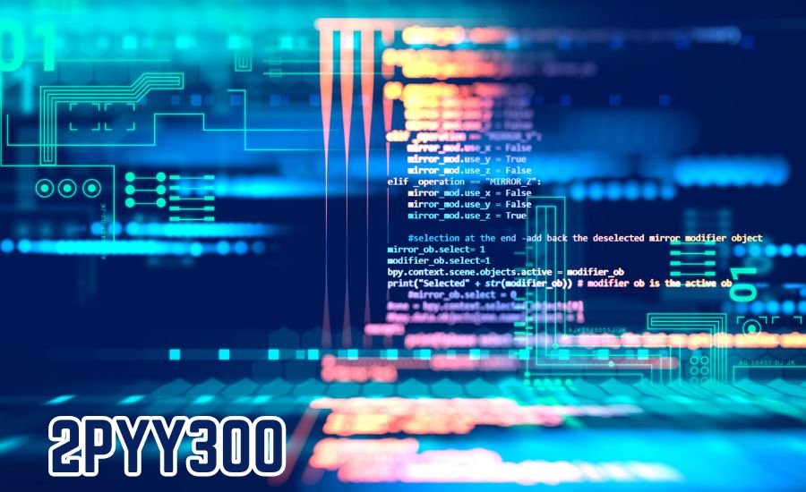 2pyy300