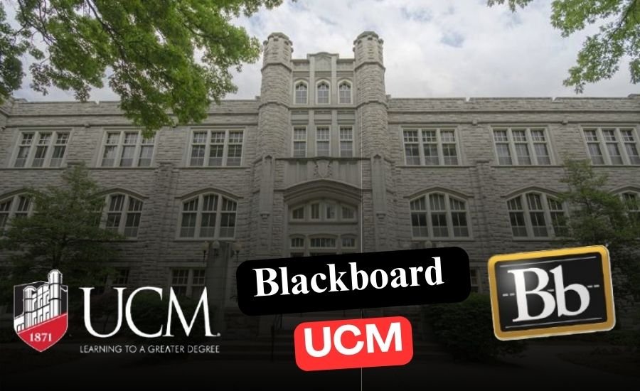 blackboard ucm