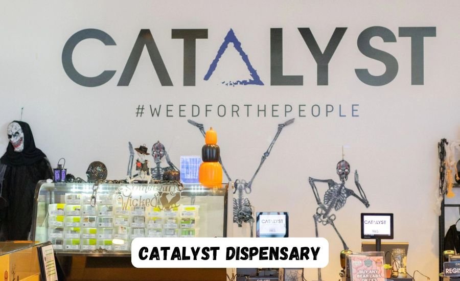 catalyst dispensary