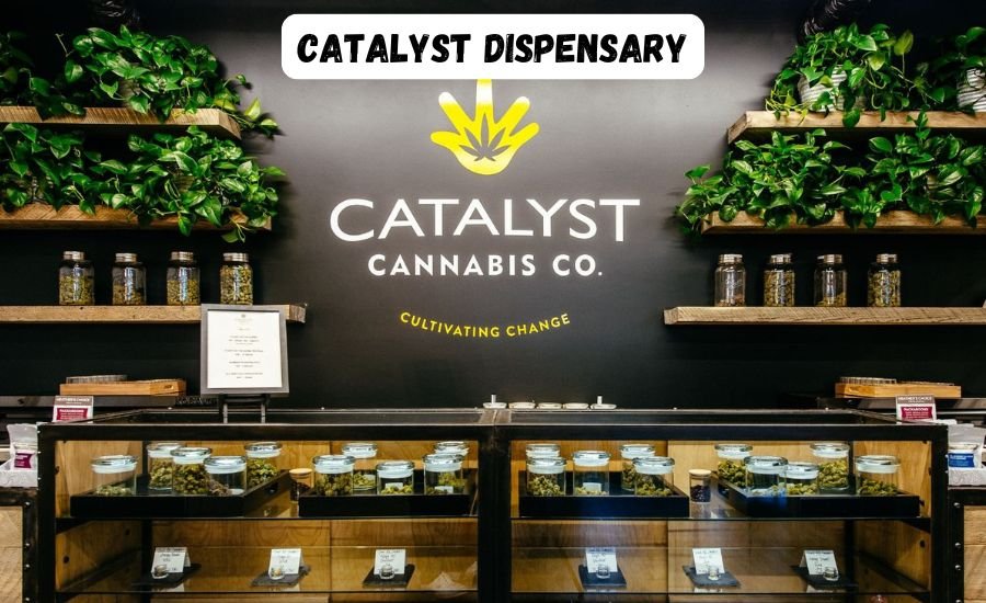 catalyst dispensary